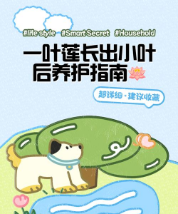 一叶莲长出小叶后下一步怎么剪 一叶莲长出小叶后下一步怎么剪