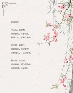 小众送妈妈的花有哪些花
