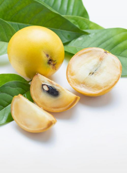 小众送妈妈的花有哪些花