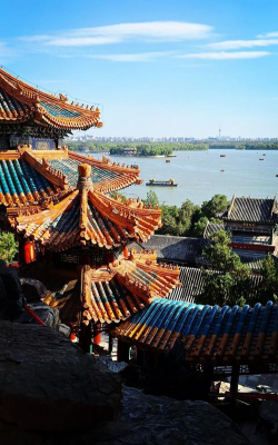 小众送妈妈的花有哪些花