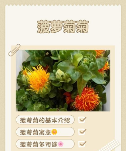 小众送妈妈的花有哪些花