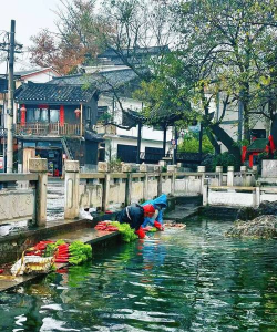 小众送妈妈的花有哪些花