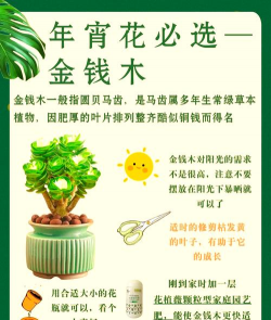 小众送妈妈的花有哪些花