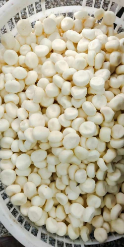 小众送妈妈的花有哪些花