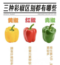 五彩椒能吃吗