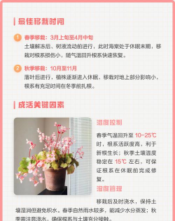 小众送妈妈的花有哪些花