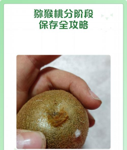 猕猴桃怎么保存