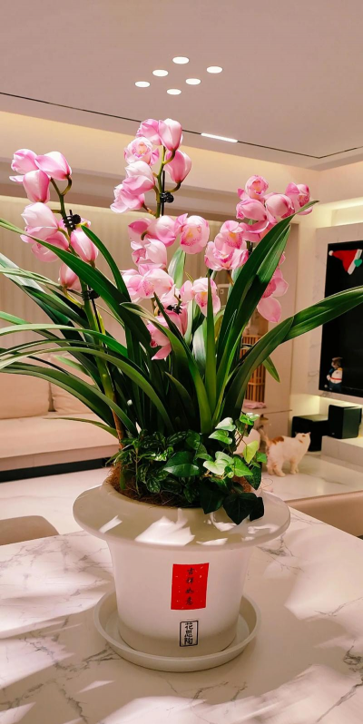 小众送妈妈的花有哪些花