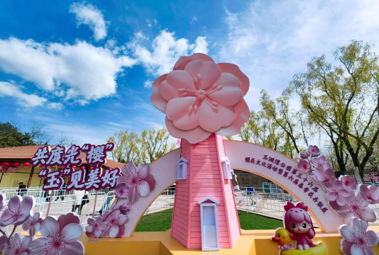 小众送妈妈的花有哪些花