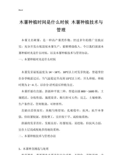 小众送妈妈的花有哪些花