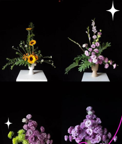 小众送妈妈的花有哪些花