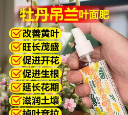 小众送妈妈的花有哪些花