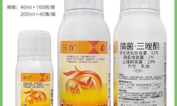 小众送妈妈的花有哪些花