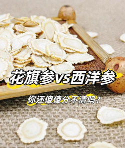 洋参是花旗参吗