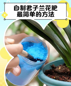 小众送妈妈的花有哪些花