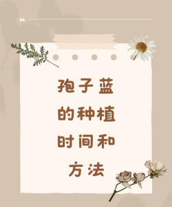 小众送妈妈的花有哪些花
