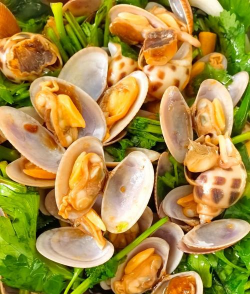 小众送妈妈的花有哪些花