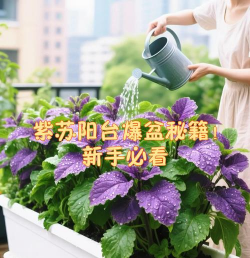 小众送妈妈的花有哪些花