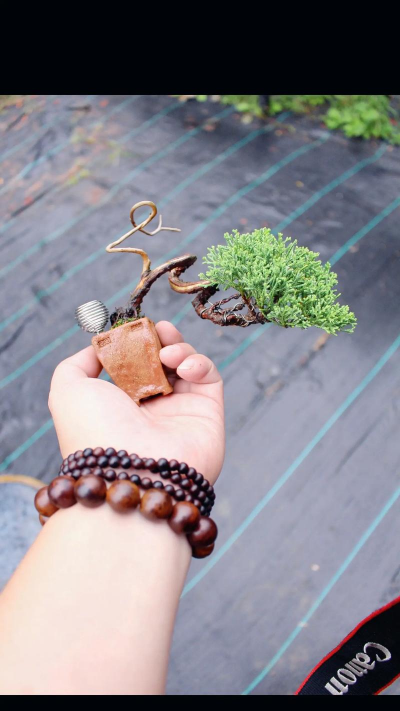 小众送妈妈的花有哪些花