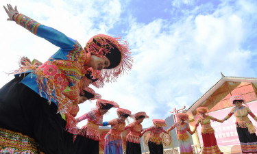 小众送妈妈的花有哪些花