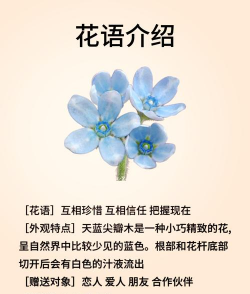 小众送妈妈的花有哪些花