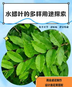 小众送妈妈的花有哪些花