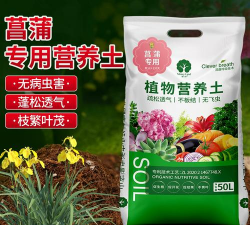 小众送妈妈的花有哪些花