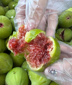 小众送妈妈的花有哪些花