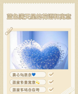 小众送妈妈的花有哪些花