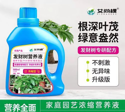 小众送妈妈的花有哪些花