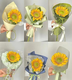 向日葵可以送老师吗 向日葵可以送老师吗