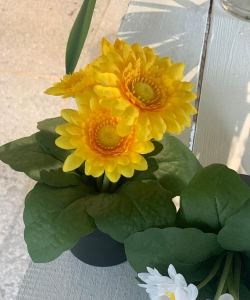 小众送妈妈的花有哪些花