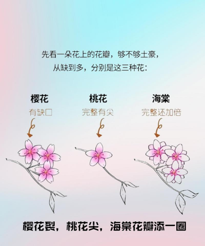 小众送妈妈的花有哪些花