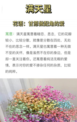 小众送妈妈的花有哪些花