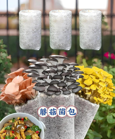 小众送妈妈的花有哪些花