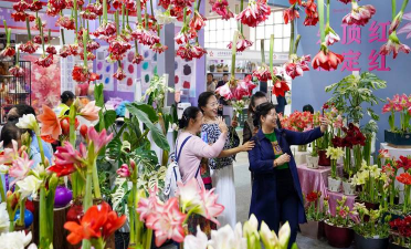 小众送妈妈的花有哪些花