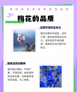 小众送妈妈的花有哪些花