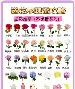 小众送妈妈的花有哪些花