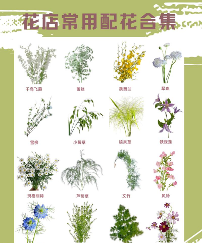 小众送妈妈的花有哪些花