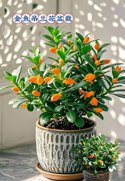 小众送妈妈的花有哪些花