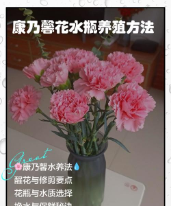 小众送妈妈的花有哪些花