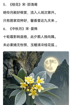 小众送妈妈的花有哪些花