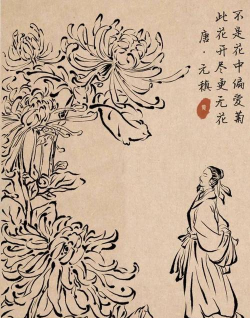 小众送妈妈的花有哪些花