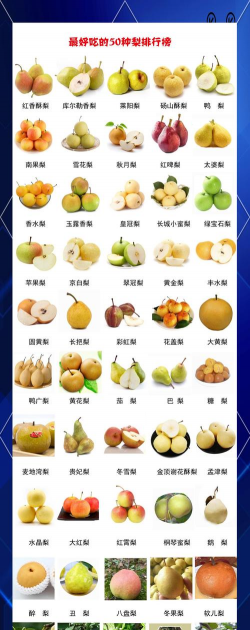 梨的品种及图片名称