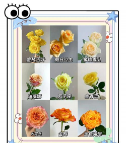 小众送妈妈的花有哪些花