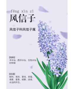 小众送妈妈的花有哪些花