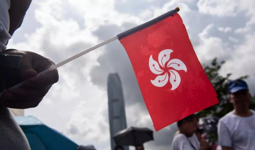 小众送妈妈的花有哪些花