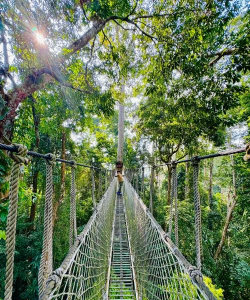 小众送妈妈的花有哪些花