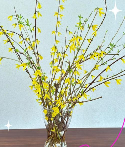 小众送妈妈的花有哪些花