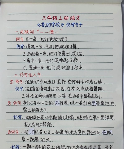 小众送妈妈的花有哪些花